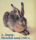 А. Дюрер. Молодой заяц. 1502 г.