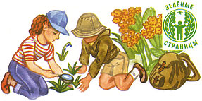 Дети-ботаники. Зеленые страницы