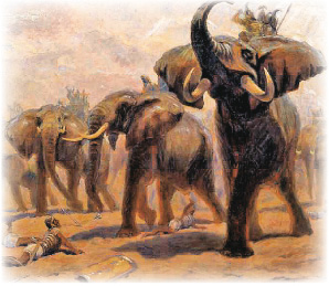 Боевые слоны