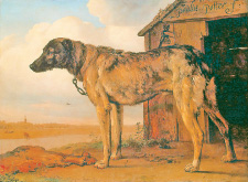 Паулюс ПОТТЕР (1625–1654). «Цепная собака» (1644).