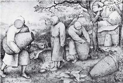 «Пчеловоды». Питер Брейгель Старший. Ок. 1568 г. Рисунок пером.