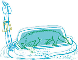 Крокодил в ванне