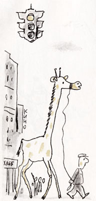Жирафа в городе