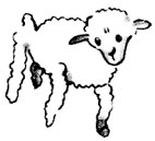 Маленький Принц7