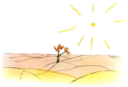 Маленький Принц34